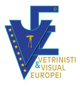 VETRINISTI E VISUAL vettoriale jpg